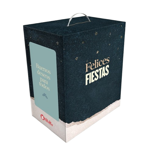 Caja Navideña Manija Integrada Mediana